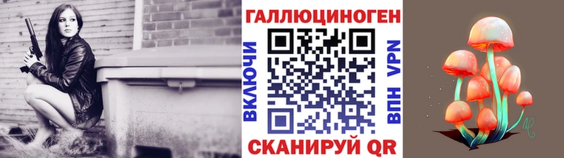 OMG   Дальнегорск  это состав  Галлюциногенные грибы GOLDEN TEACHER 